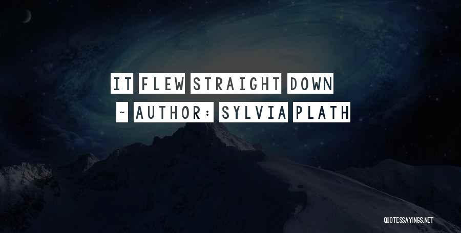 Sylvia Plath Quotes: It Flew Straight Down