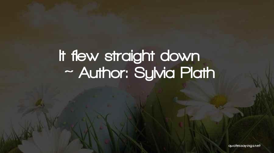 Sylvia Plath Quotes: It Flew Straight Down