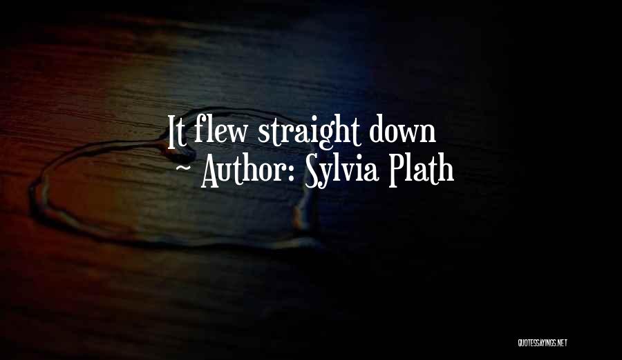 Sylvia Plath Quotes: It Flew Straight Down