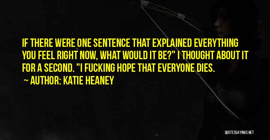 Katie Heaney Quotes: If There Were One Sentence That Explained Everything You Feel Right Now, What Would It Be? I Thought About It