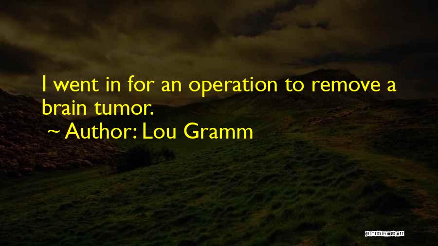 Lou Gramm Quotes: I Went In For An Operation To Remove A Brain Tumor.