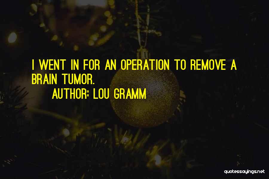 Lou Gramm Quotes: I Went In For An Operation To Remove A Brain Tumor.