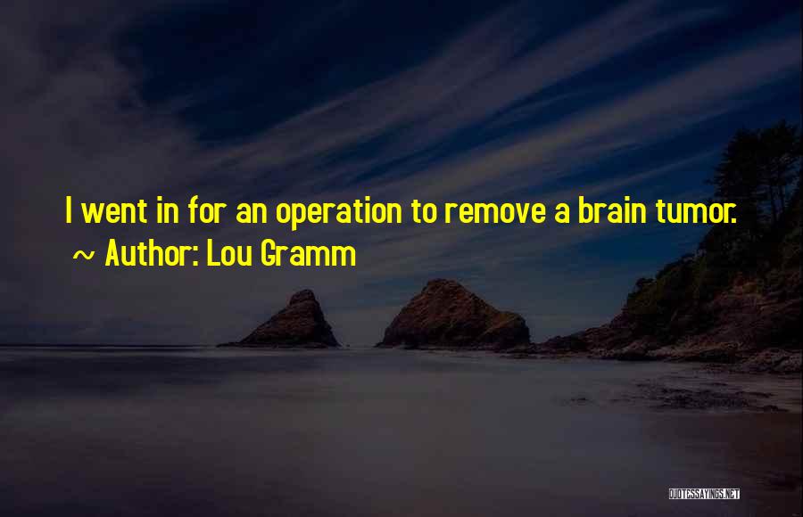 Lou Gramm Quotes: I Went In For An Operation To Remove A Brain Tumor.