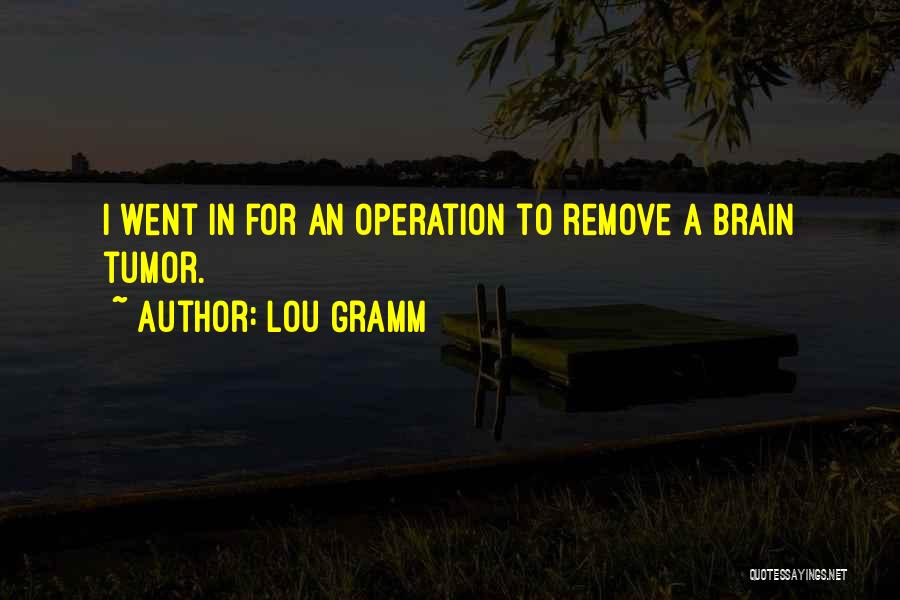 Lou Gramm Quotes: I Went In For An Operation To Remove A Brain Tumor.