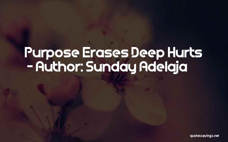 Sunday Adelaja Quotes: Purpose Erases Deep Hurts