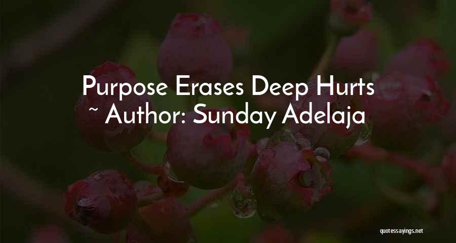 Sunday Adelaja Quotes: Purpose Erases Deep Hurts