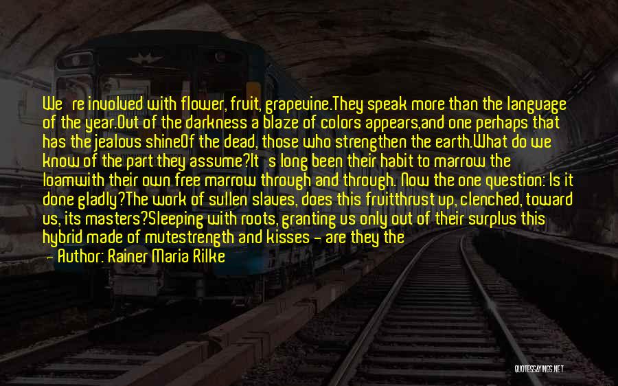 Rainer Maria Rilke Quotes: We're Involved With Flower, Fruit, Grapevine.they Speak More Than The Language Of The Year.out Of The Darkness A Blaze Of