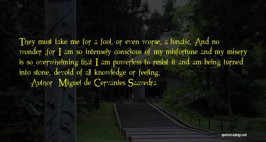 Miguel De Cervantes Saavedra Quotes: They Must Take Me For A Fool, Or Even Worse, A Lunatic. And No Wonder ,for I Am So Intensely