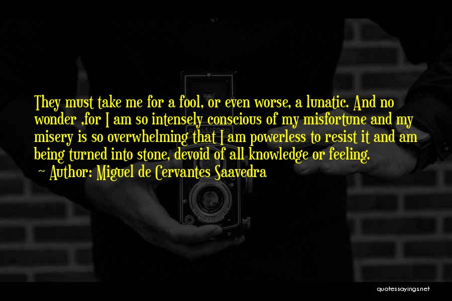 Miguel De Cervantes Saavedra Quotes: They Must Take Me For A Fool, Or Even Worse, A Lunatic. And No Wonder ,for I Am So Intensely