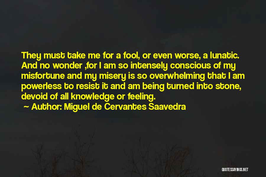 Miguel De Cervantes Saavedra Quotes: They Must Take Me For A Fool, Or Even Worse, A Lunatic. And No Wonder ,for I Am So Intensely