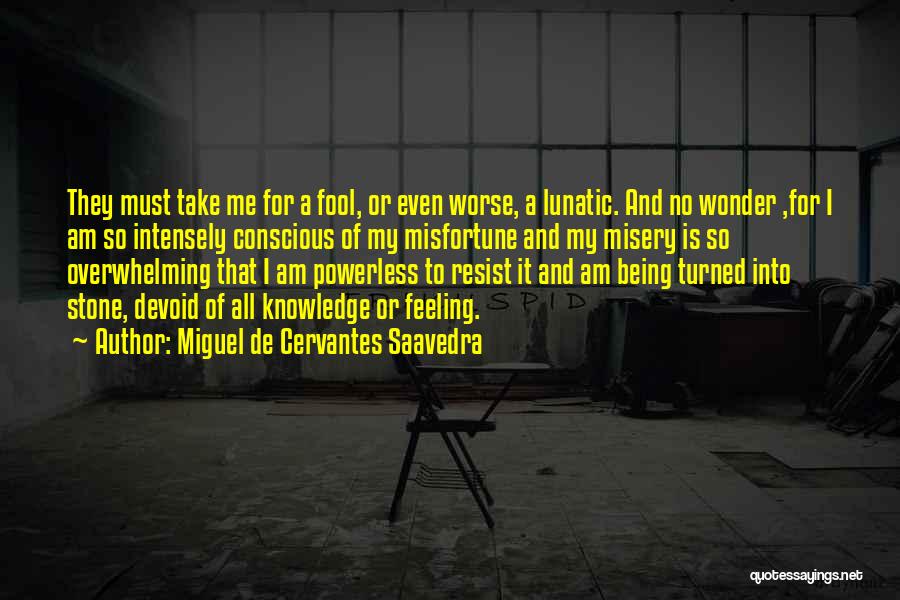 Miguel De Cervantes Saavedra Quotes: They Must Take Me For A Fool, Or Even Worse, A Lunatic. And No Wonder ,for I Am So Intensely