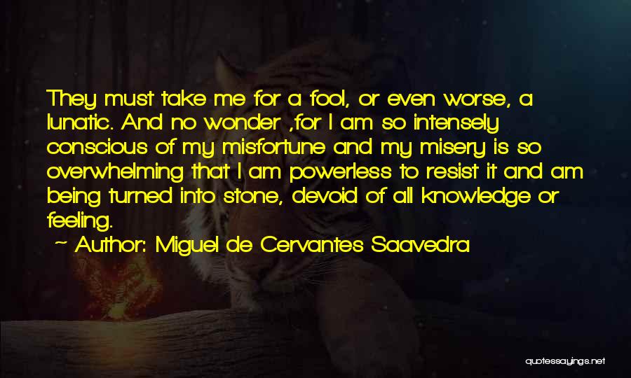 Miguel De Cervantes Saavedra Quotes: They Must Take Me For A Fool, Or Even Worse, A Lunatic. And No Wonder ,for I Am So Intensely