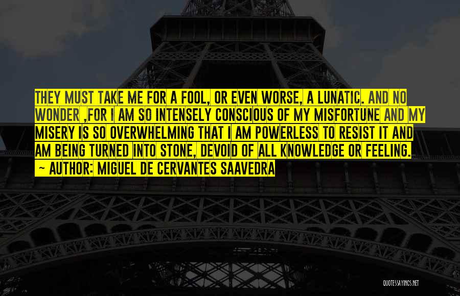 Miguel De Cervantes Saavedra Quotes: They Must Take Me For A Fool, Or Even Worse, A Lunatic. And No Wonder ,for I Am So Intensely