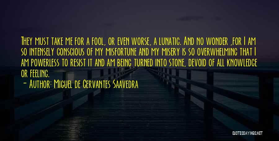 Miguel De Cervantes Saavedra Quotes: They Must Take Me For A Fool, Or Even Worse, A Lunatic. And No Wonder ,for I Am So Intensely