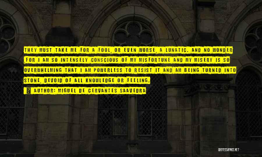 Miguel De Cervantes Saavedra Quotes: They Must Take Me For A Fool, Or Even Worse, A Lunatic. And No Wonder ,for I Am So Intensely