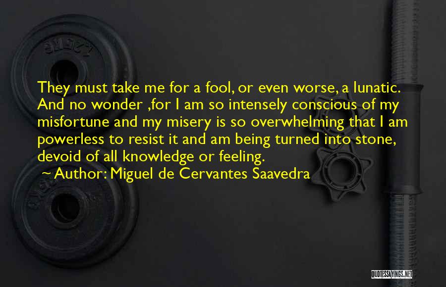 Miguel De Cervantes Saavedra Quotes: They Must Take Me For A Fool, Or Even Worse, A Lunatic. And No Wonder ,for I Am So Intensely