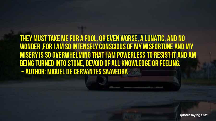 Miguel De Cervantes Saavedra Quotes: They Must Take Me For A Fool, Or Even Worse, A Lunatic. And No Wonder ,for I Am So Intensely