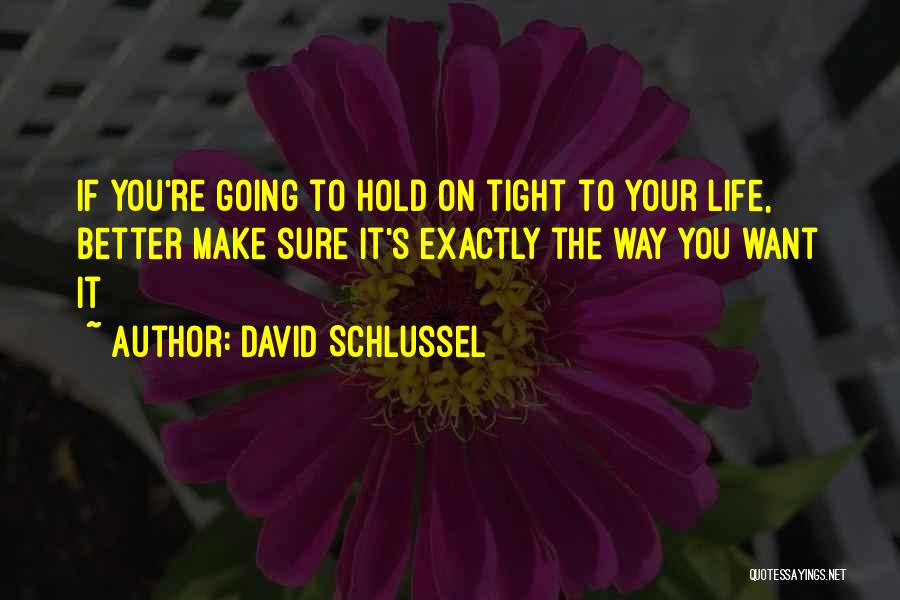 David Schlussel Quotes: If You're Going To Hold On Tight To Your Life, Better Make Sure It's Exactly The Way You Want It