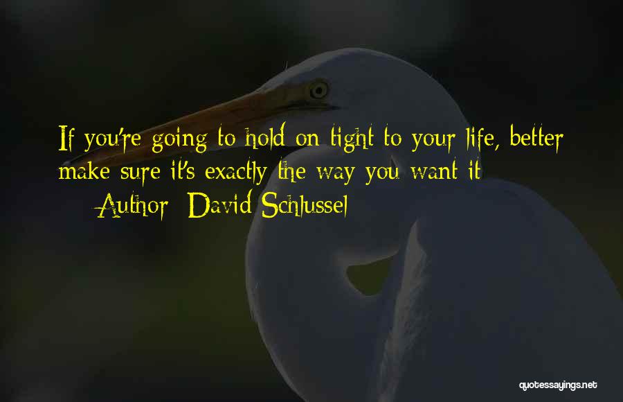 David Schlussel Quotes: If You're Going To Hold On Tight To Your Life, Better Make Sure It's Exactly The Way You Want It