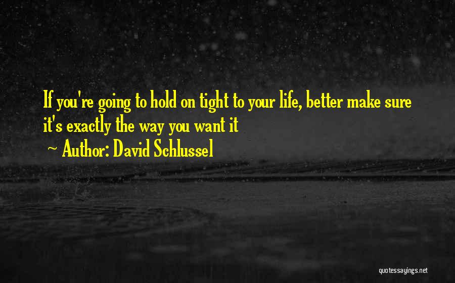 David Schlussel Quotes: If You're Going To Hold On Tight To Your Life, Better Make Sure It's Exactly The Way You Want It