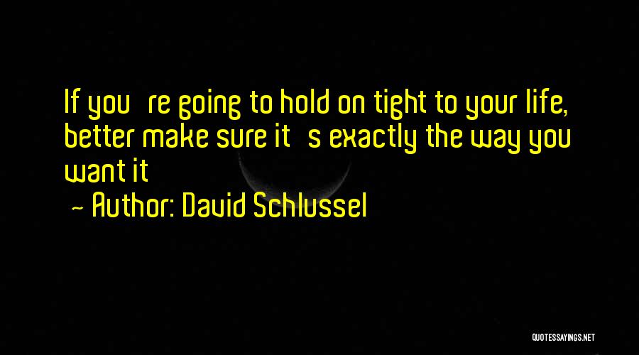 David Schlussel Quotes: If You're Going To Hold On Tight To Your Life, Better Make Sure It's Exactly The Way You Want It