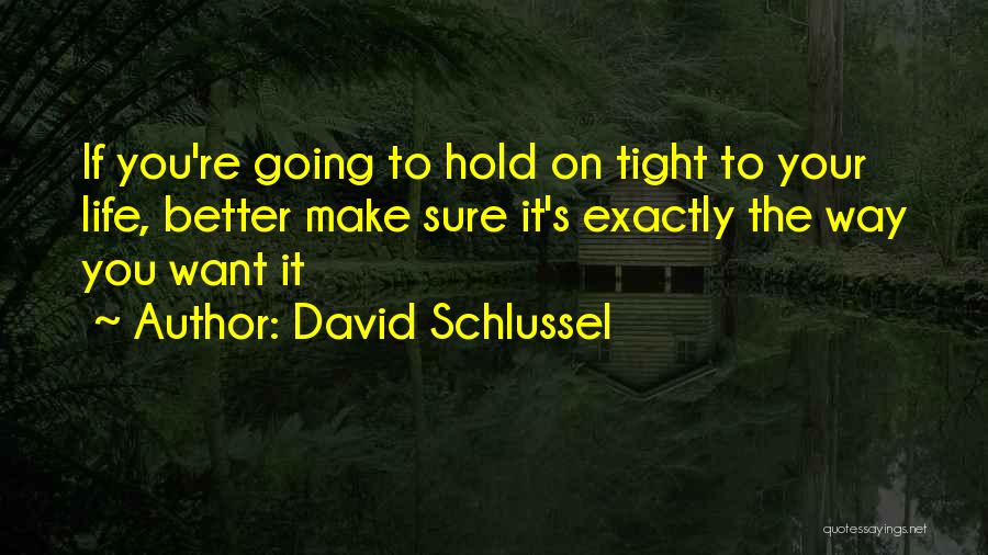 David Schlussel Quotes: If You're Going To Hold On Tight To Your Life, Better Make Sure It's Exactly The Way You Want It