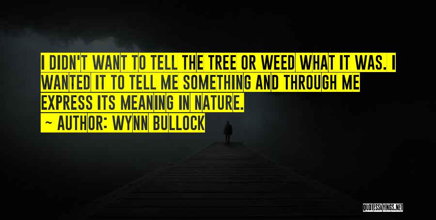 Wynn Bullock Quotes: I Didn't Want To Tell The Tree Or Weed What It Was. I Wanted It To Tell Me Something And