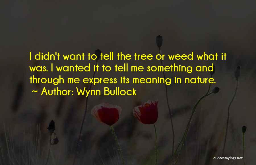 Wynn Bullock Quotes: I Didn't Want To Tell The Tree Or Weed What It Was. I Wanted It To Tell Me Something And