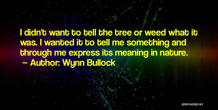 Wynn Bullock Quotes: I Didn't Want To Tell The Tree Or Weed What It Was. I Wanted It To Tell Me Something And