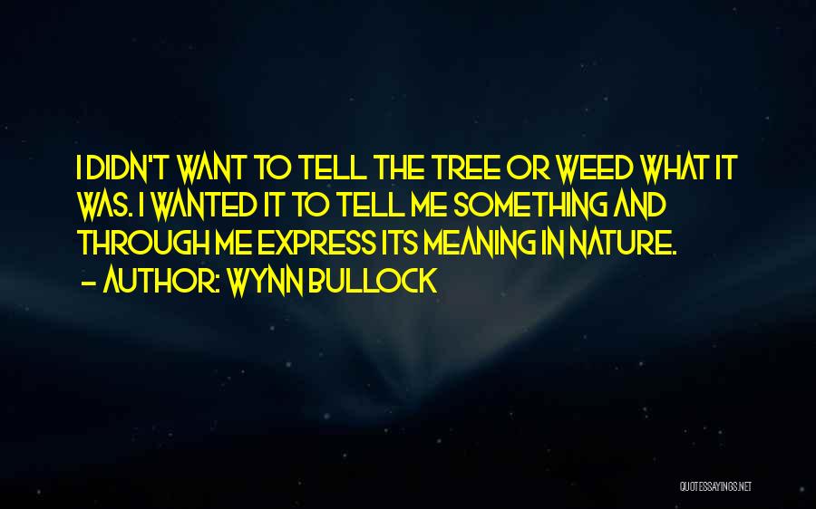 Wynn Bullock Quotes: I Didn't Want To Tell The Tree Or Weed What It Was. I Wanted It To Tell Me Something And