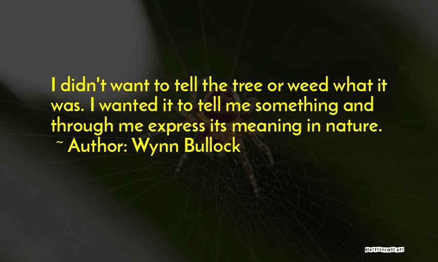 Wynn Bullock Quotes: I Didn't Want To Tell The Tree Or Weed What It Was. I Wanted It To Tell Me Something And