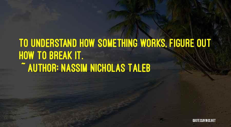 Nassim Nicholas Taleb Quotes: To Understand How Something Works, Figure Out How To Break It.