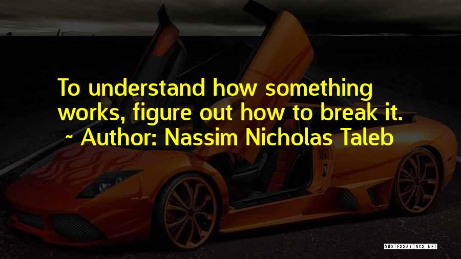 Nassim Nicholas Taleb Quotes: To Understand How Something Works, Figure Out How To Break It.