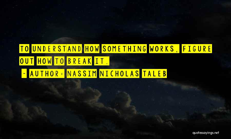 Nassim Nicholas Taleb Quotes: To Understand How Something Works, Figure Out How To Break It.