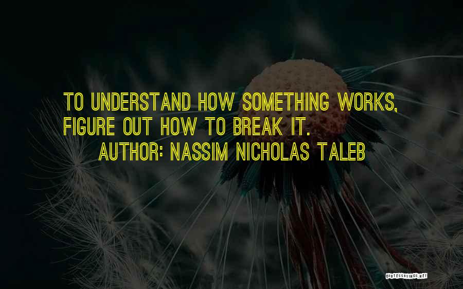 Nassim Nicholas Taleb Quotes: To Understand How Something Works, Figure Out How To Break It.