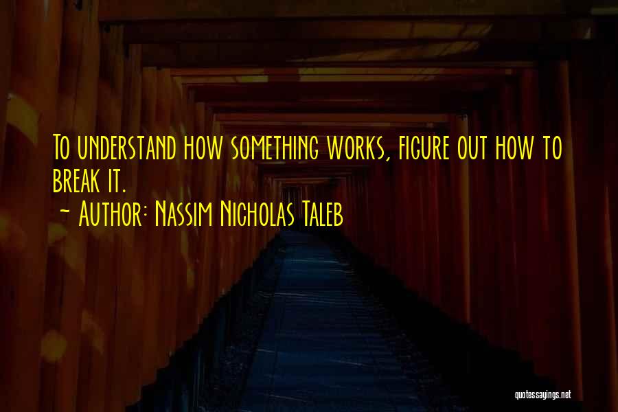 Nassim Nicholas Taleb Quotes: To Understand How Something Works, Figure Out How To Break It.