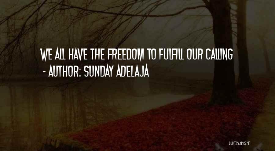 Sunday Adelaja Quotes: We All Have The Freedom To Fulfill Our Calling