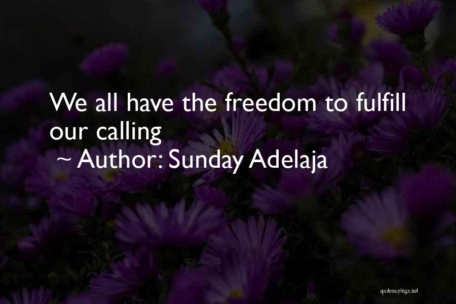 Sunday Adelaja Quotes: We All Have The Freedom To Fulfill Our Calling