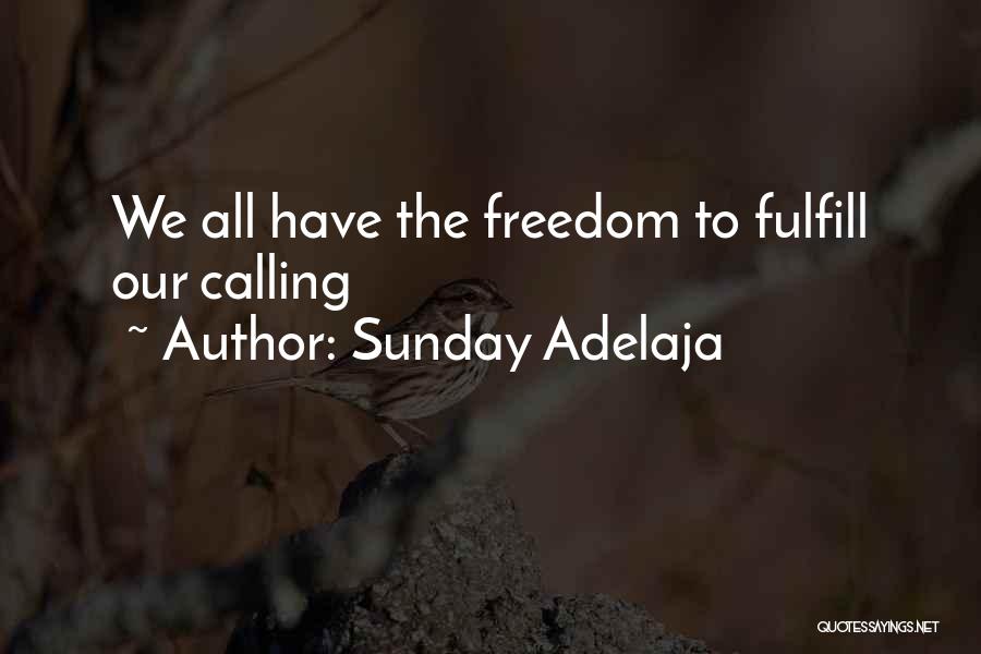 Sunday Adelaja Quotes: We All Have The Freedom To Fulfill Our Calling