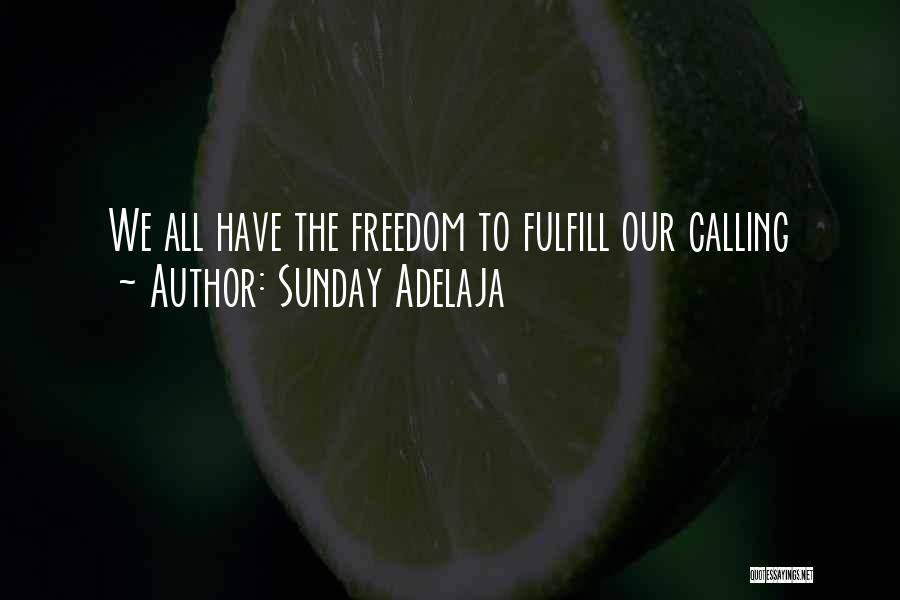 Sunday Adelaja Quotes: We All Have The Freedom To Fulfill Our Calling