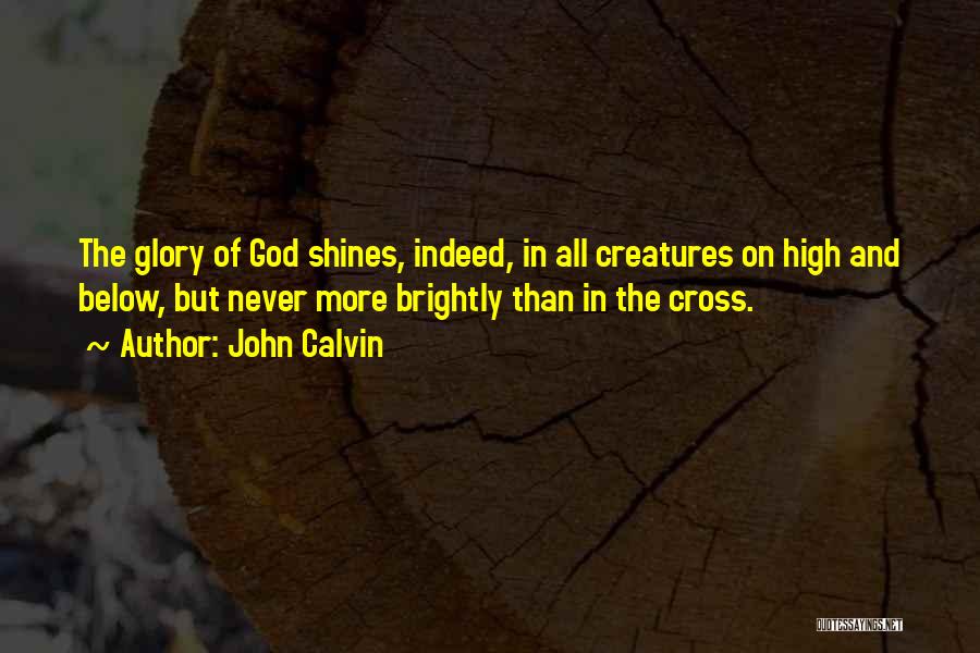 John Calvin Quotes: The Glory Of God Shines, Indeed, In All Creatures On High And Below, But Never More Brightly Than In The