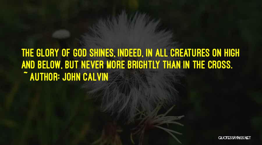 John Calvin Quotes: The Glory Of God Shines, Indeed, In All Creatures On High And Below, But Never More Brightly Than In The
