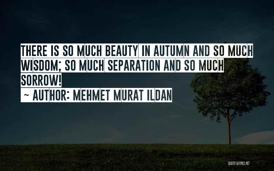 Mehmet Murat Ildan Quotes: There Is So Much Beauty In Autumn And So Much Wisdom; So Much Separation And So Much Sorrow!