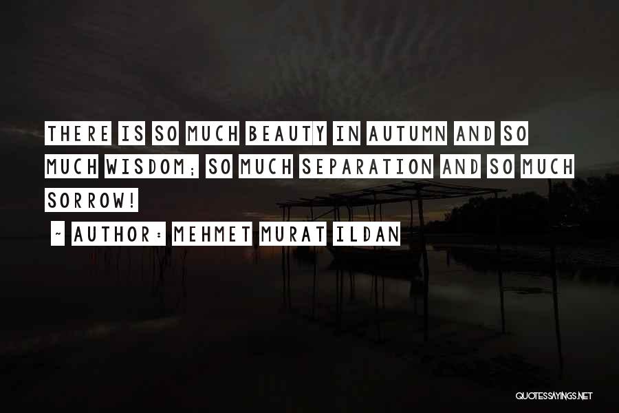 Mehmet Murat Ildan Quotes: There Is So Much Beauty In Autumn And So Much Wisdom; So Much Separation And So Much Sorrow!