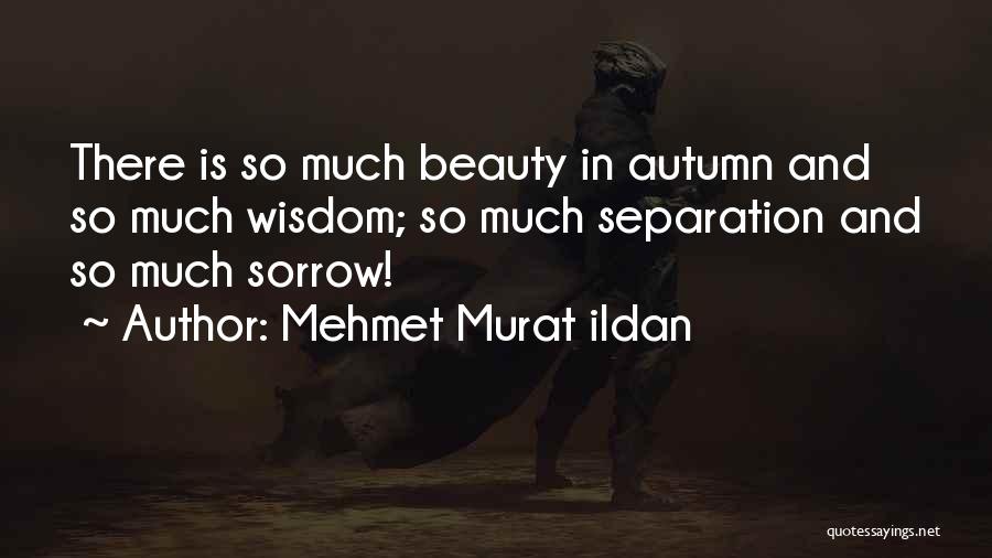 Mehmet Murat Ildan Quotes: There Is So Much Beauty In Autumn And So Much Wisdom; So Much Separation And So Much Sorrow!