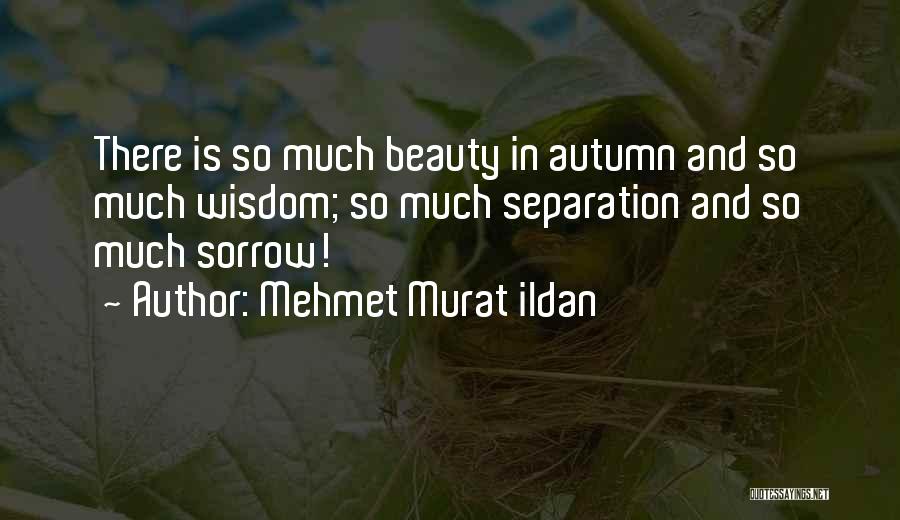 Mehmet Murat Ildan Quotes: There Is So Much Beauty In Autumn And So Much Wisdom; So Much Separation And So Much Sorrow!