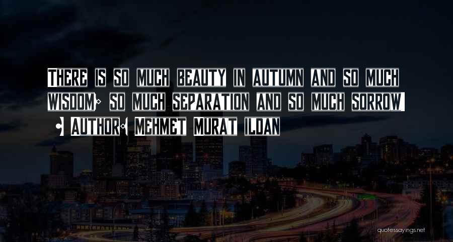Mehmet Murat Ildan Quotes: There Is So Much Beauty In Autumn And So Much Wisdom; So Much Separation And So Much Sorrow!