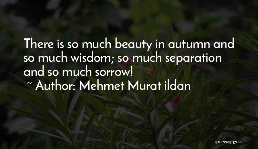 Mehmet Murat Ildan Quotes: There Is So Much Beauty In Autumn And So Much Wisdom; So Much Separation And So Much Sorrow!