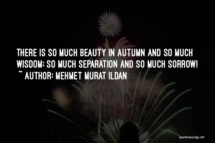 Mehmet Murat Ildan Quotes: There Is So Much Beauty In Autumn And So Much Wisdom; So Much Separation And So Much Sorrow!