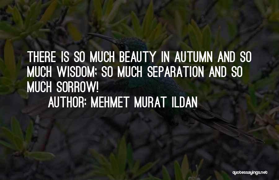 Mehmet Murat Ildan Quotes: There Is So Much Beauty In Autumn And So Much Wisdom; So Much Separation And So Much Sorrow!